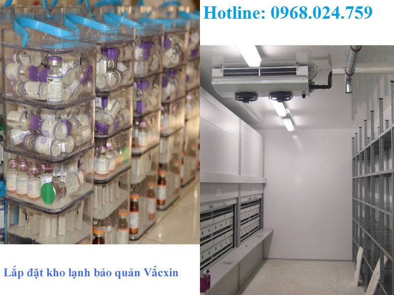 Lắp đặt kho lạnh bảo quản Vacxin